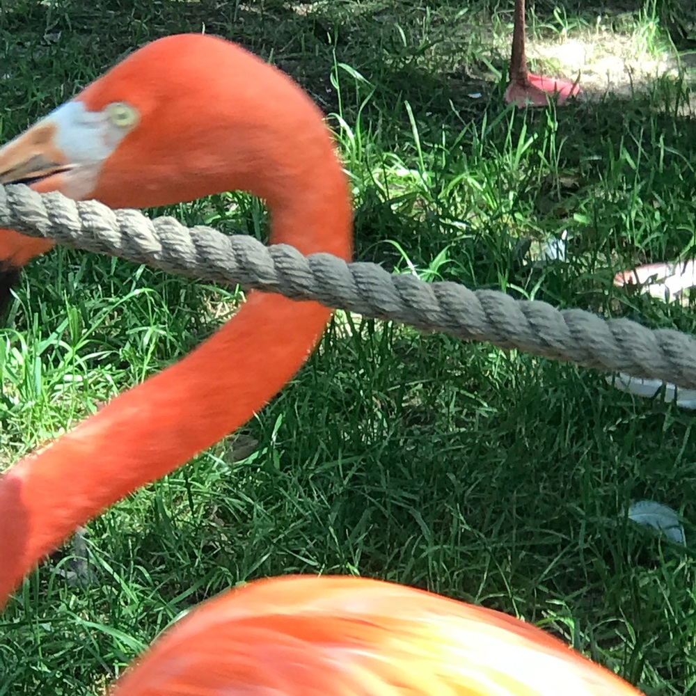 Meet your Posher, Jennine